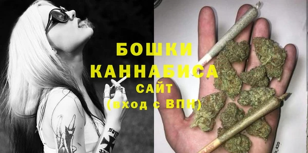 хмурый Заводоуковск