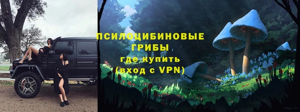 СК Зерноград