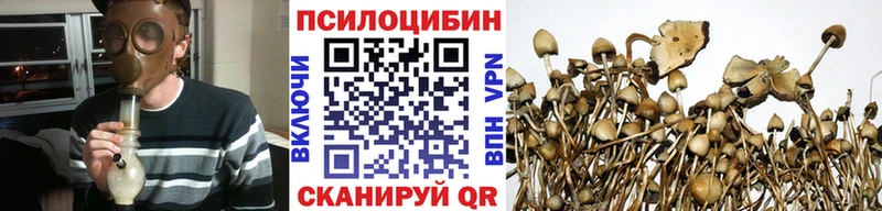Псилоцибиновые грибы мухоморы  наркошоп  Мончегорск 